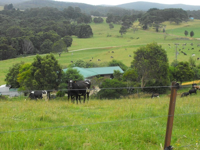 1169 Lapoinya Road, Milabena, Wynyard TAS 7325