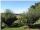 373 Mount Hicks Road, Wynyard TAS 7325