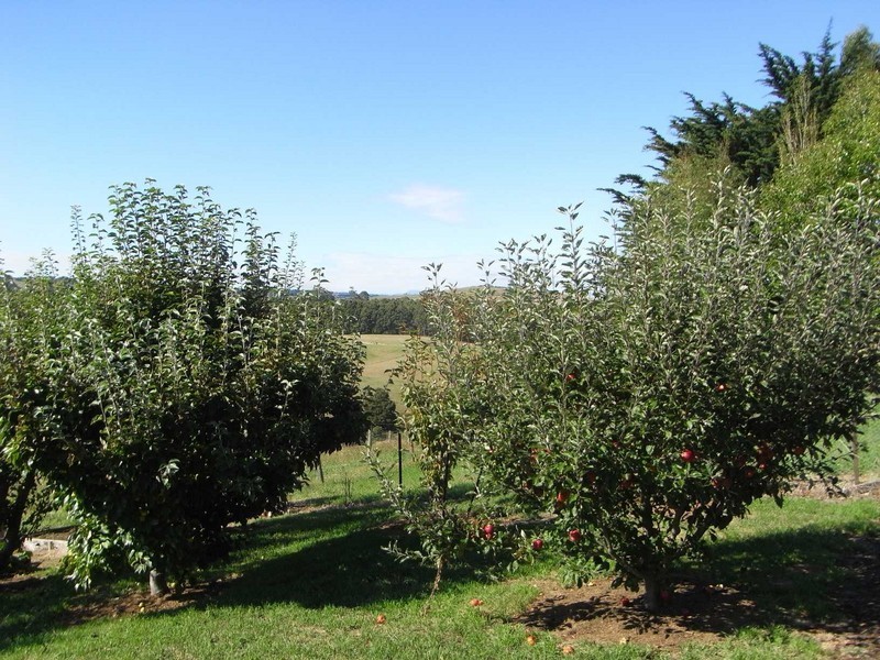 373 Mount Hicks Road, Wynyard TAS 7325