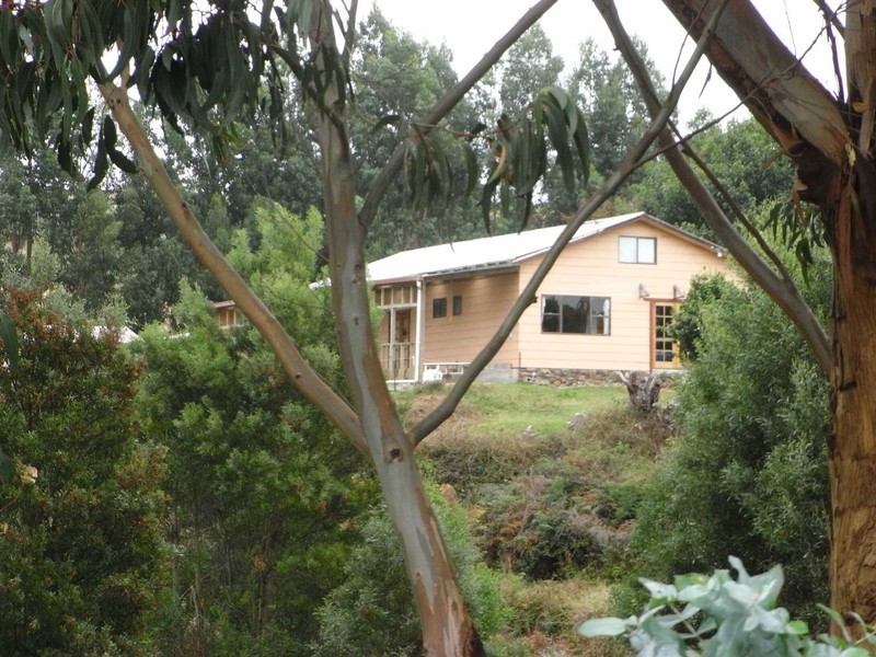 415 Preolenna Road, Flowerdale, Wynyard TAS 7325