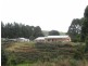 415 Preolenna Road, Flowerdale, Wynyard TAS 7325