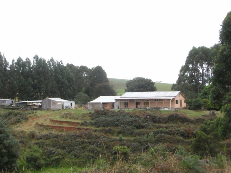 415 Preolenna Road, Flowerdale, Wynyard TAS 7325