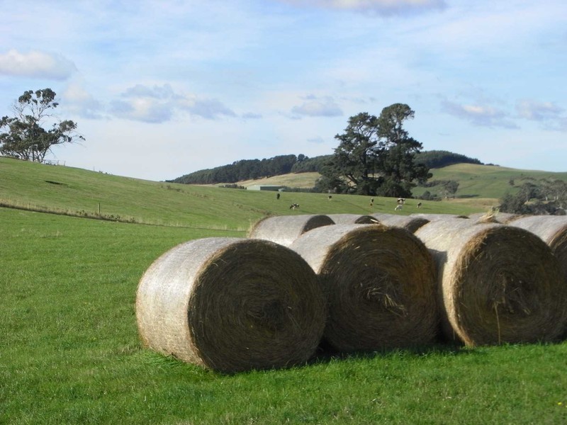 90 Tippetts Lane, Wynyard TAS 7325