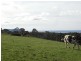 90 Tippetts Lane, Wynyard TAS 7325