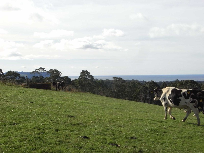 90 Tippetts Lane, Wynyard TAS 7325