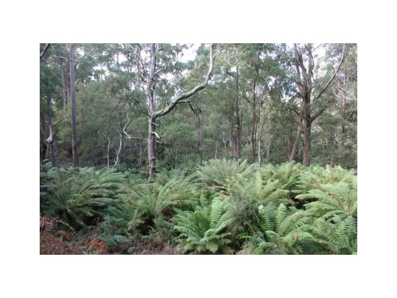 90 Tippetts Lane, Wynyard TAS 7325