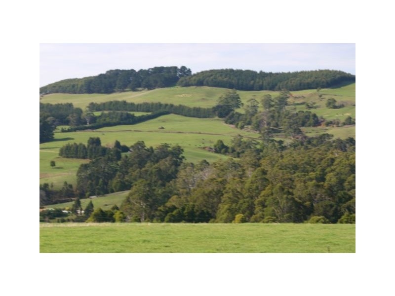 90 Tippetts Lane, Wynyard TAS 7325
