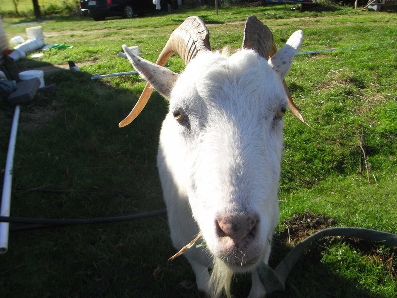 39 Katelyn Drive, Wynyard TAS 7325