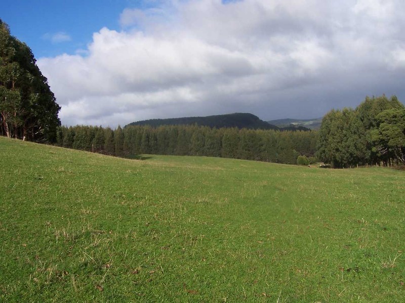 15 Reillys Road, Wynyard TAS 7325