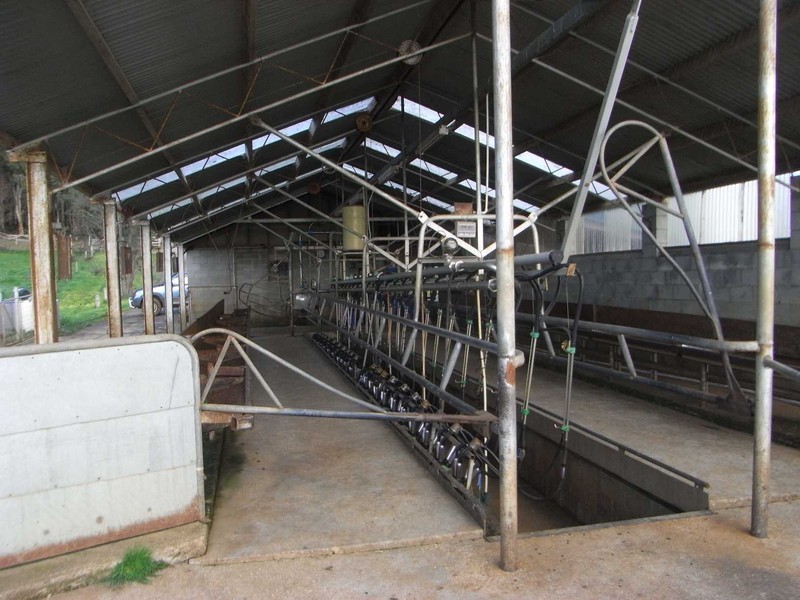 40 Mount Myrtle Road, Elliott, Wynyard TAS 7325