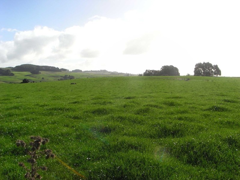 40 Mount Myrtle Road, Elliott, Wynyard TAS 7325