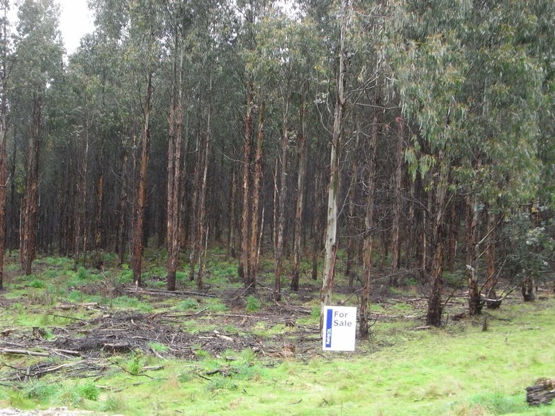 . Calder Road, Wynyard TAS 7325