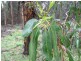 . Calder Road, Wynyard TAS 7325