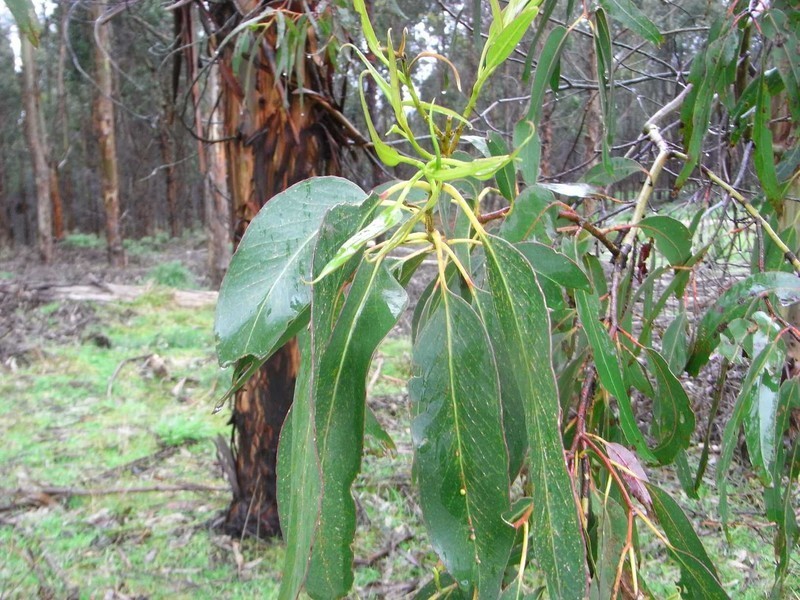 . Calder Road, Wynyard TAS 7325