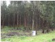 . Warath/Wynyard, Wynyard TAS 7325