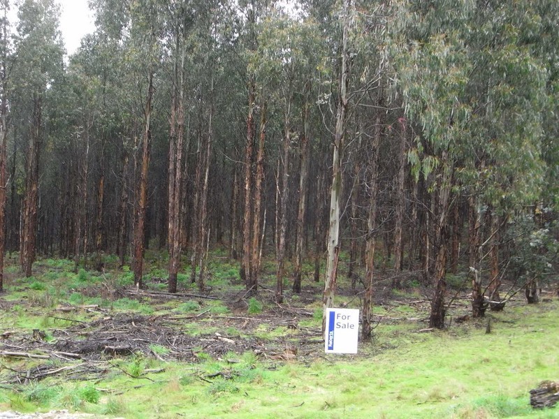 . Warath/Wynyard, Wynyard TAS 7325