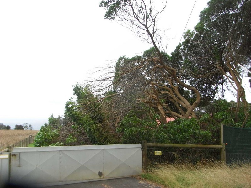 Sisters Beach TAS 7321