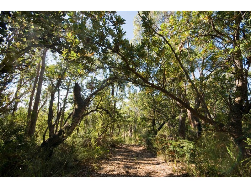 Sisters Beach TAS 7321