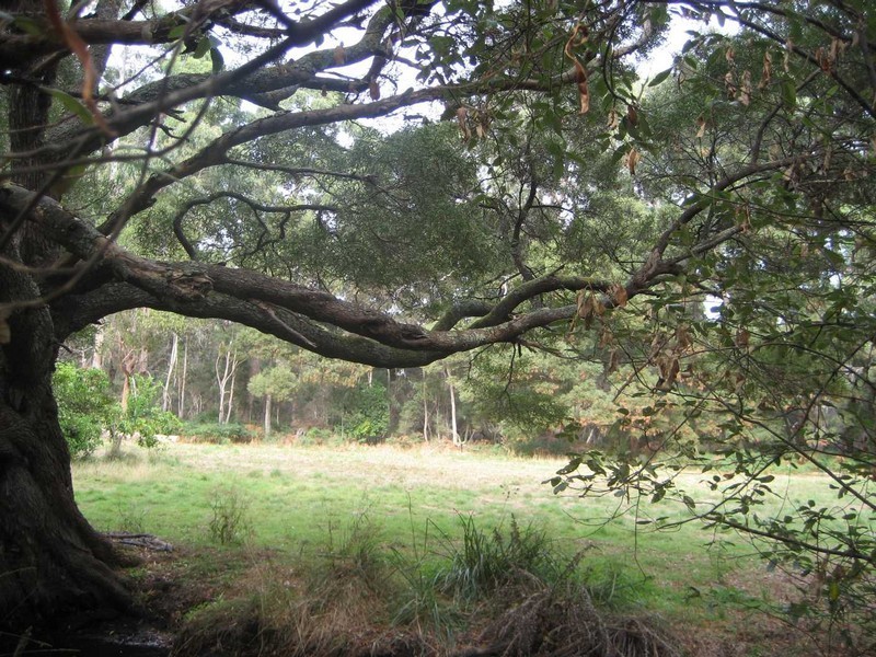 . Elfrida Avenue, Sisters Beach TAS 7321