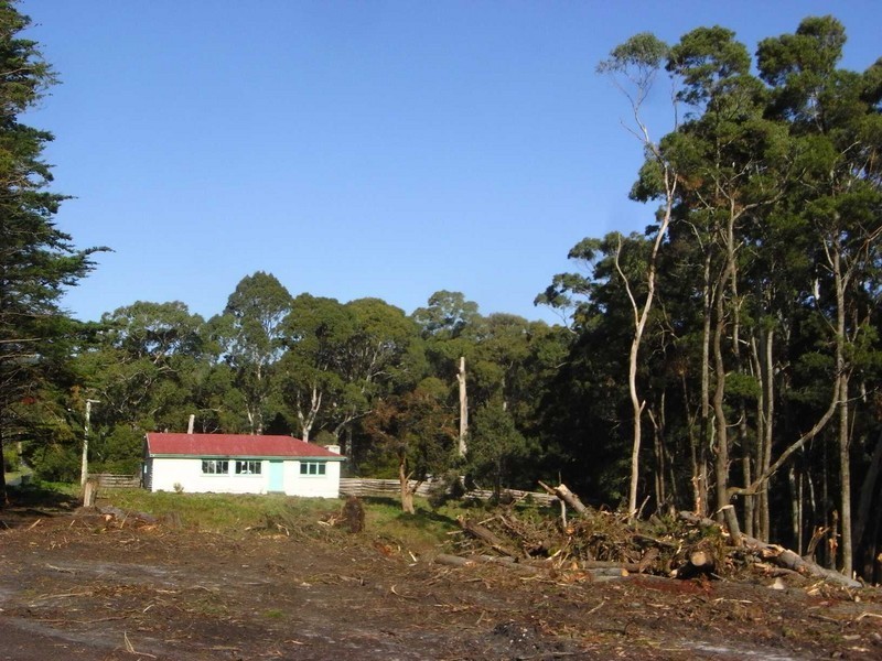 . Elfrida Avenue, Sisters Beach TAS 7321