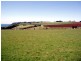 Boat Harbour TAS 7321