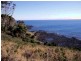 Boat Harbour TAS 7321