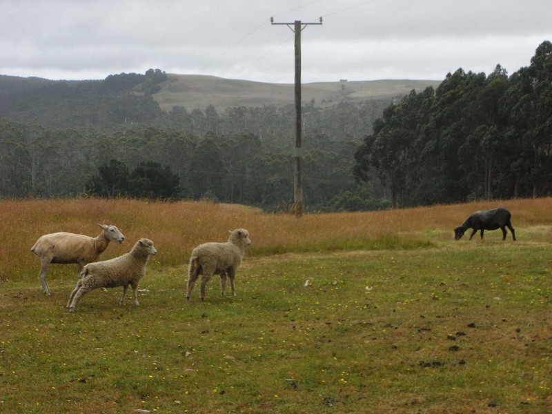 Wynyard TAS 7325