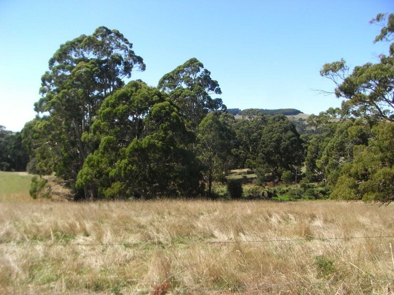 210 Andersons Road, Wynyard TAS 7325