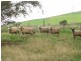 618 Seabrook Road, Wynyard TAS 7325