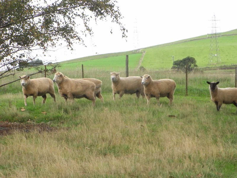 618 Seabrook Road, Wynyard TAS 7325