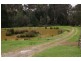 51 Blackwells Road, Oonah TAS 7325