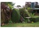 51 Blackwells Road, Oonah TAS 7325