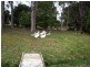 3 Duncanson Street, Waratah TAS 7321