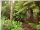 . Preolenna Road, Moorleah TAS 7325