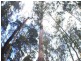 . Preolenna Road, Moorleah TAS 7325
