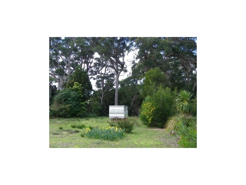 Sisters Beach TAS 7321