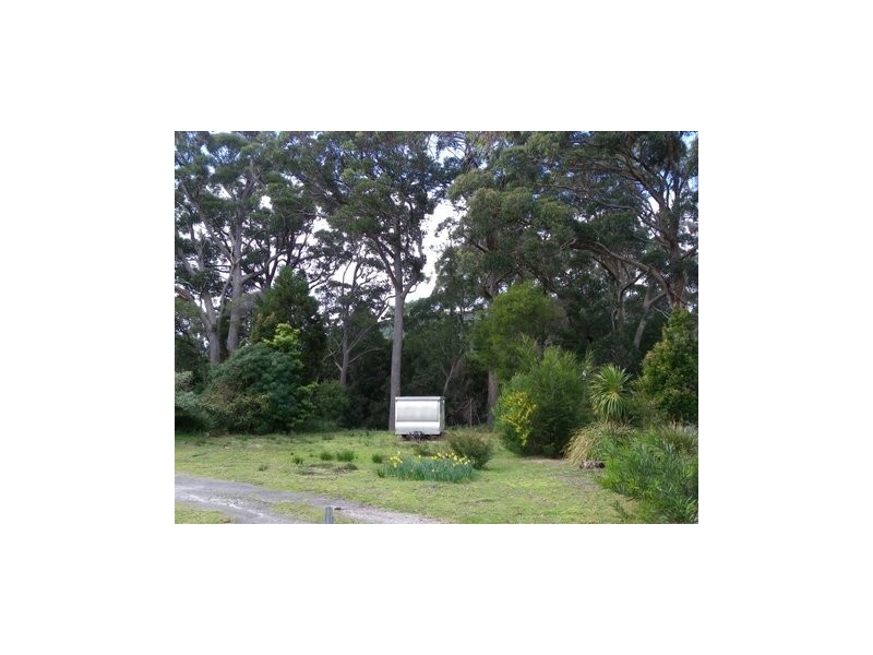 Sisters Beach TAS 7321