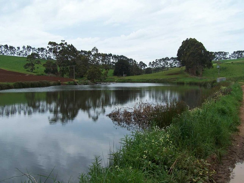 16826 Bass Highway, Wynyard TAS 7325