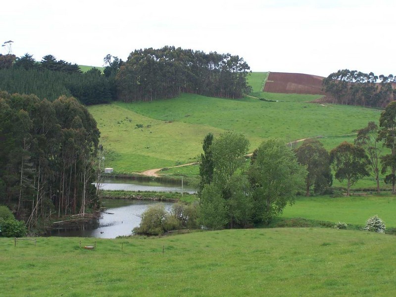 16826 Bass Highway, Wynyard TAS 7325