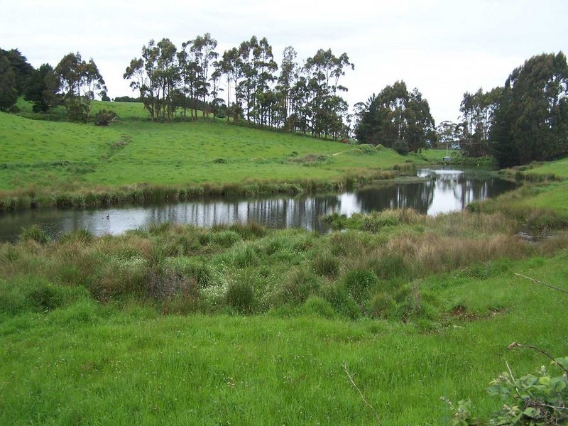 16826 Bass Highway, Wynyard TAS 7325