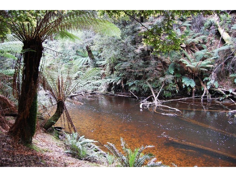 1 Preolenna Road, Moorleah TAS 7325