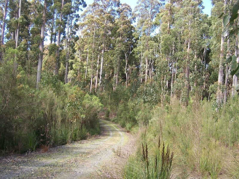 1 Preolenna Road, Moorleah TAS 7325