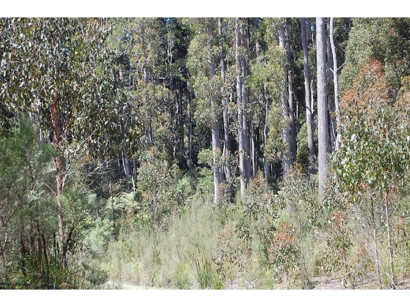 1 Preolenna Road, Moorleah TAS 7325