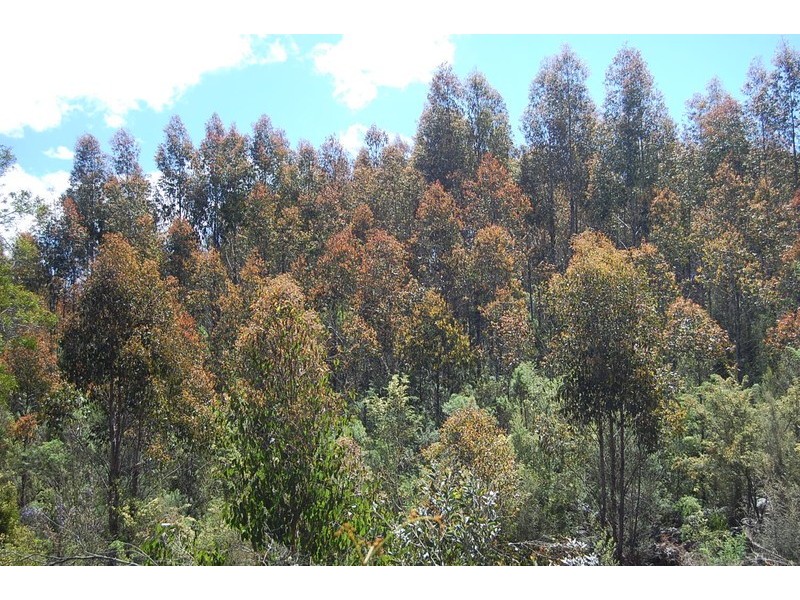 1 Preolenna Road, Moorleah TAS 7325