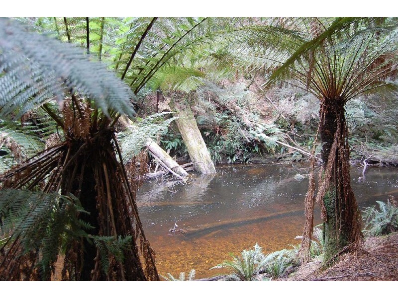 1 Preolenna Road, Moorleah TAS 7325