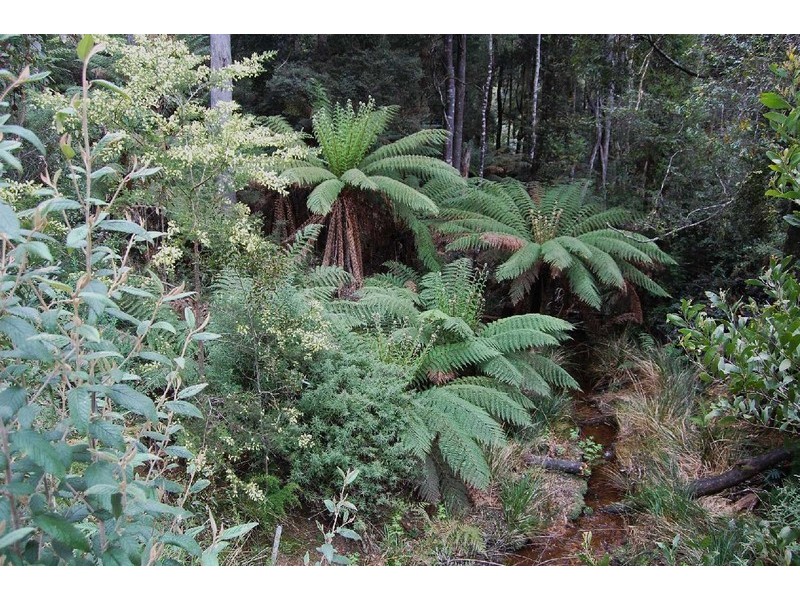 1 Preolenna Road, Moorleah TAS 7325