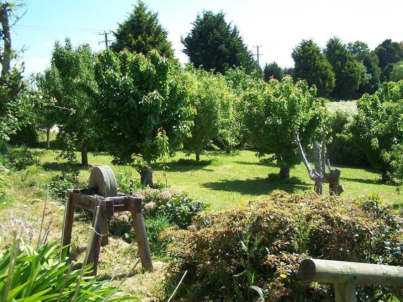 1251 Calder Road, Wynyard TAS 7325