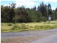 . Ritchie and Vincent, Waratah TAS 7321