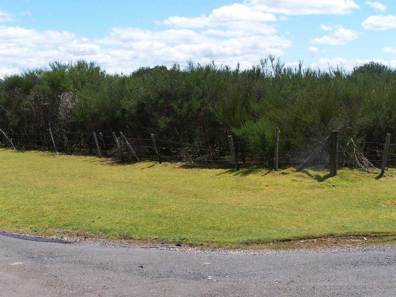 . Ritchie and Vincent, Waratah TAS 7321