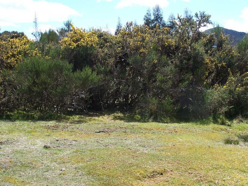 . Ritchie and Vincent, Waratah TAS 7321